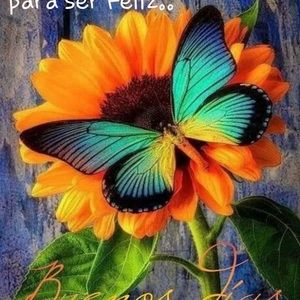 Meet your Posher, Ofelia